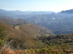 PA150791.jpg