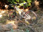 2011-10-15 14.17.22_800x600.jpg