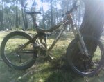 IMG0104A.jpg