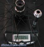 azonic_outlaw_135mm_rear.jpg