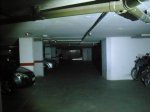 DSCF1229.JPG