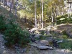 Paisaje.jpg