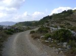 DSC04215.JPG