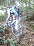 IMGP4011 - copia.JPG