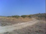 DSC00995.jpg