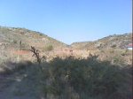 DSC00991.jpg