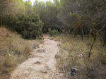 PA160014.JPG
