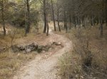 PA160013.JPG