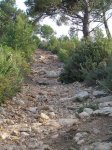 imagen_012_161.jpg