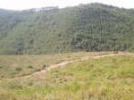 imagen_009_791.jpg
