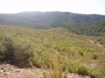 imagen_012_178.jpg