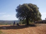 imagen_016_116.jpg