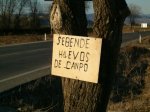hpim2109.jpg