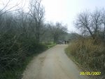 resized_PIC_0030.jpg