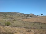 DSC00827_resize.JPG