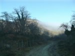 DSCF0316.jpg