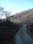 DSCF0317.jpg