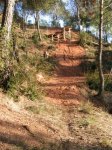 PICT0016 (Small).JPG
