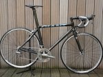 giant_tcr_advancedisp06_gross.jpg