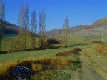 DSCF0314.jpg