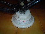 DSC06256.jpg