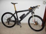 storck foro 2.JPG