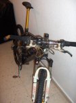 storck 07 fr.jpg