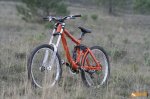 BERG%20CYCLES%20DH%2008%20project.jpg