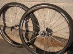 zipp 3.jpg