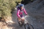 Ibex fotos (24) (Large).jpg