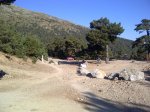 IMG-20111016-00311.jpg