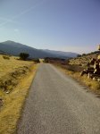 IMG-20111016-00336.jpg