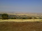 IMG-20111016-00337.jpg
