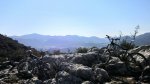 IMG_5707.jpg