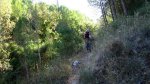 IMG_5735.jpg