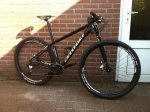 Flash 29er.JPG