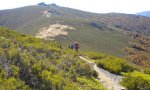 DSCN3395.JPG