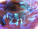 DSCN7408.JPG