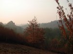 DSCN3080 (Large).JPG