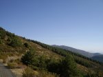 IMG_0483.JPG