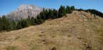 resized_Panorama 8.jpg