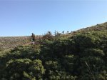 IMG081.jpg
