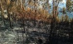 2011-04-18 15.45.36.JPG