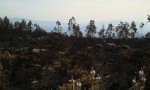 2011-04-18 15.40.42.JPG
