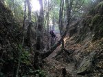 2011-10-18_11-33-25_176.jpg