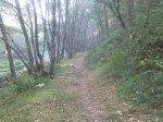 2011-10-18_12-44-33_273.jpg