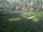 2011-10-18_12-43-27_208.jpg