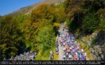 lomb11-val.jpg