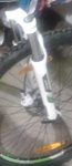 2011-10-08 12.16.46.jpg