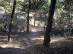 IMG_0633.JPG